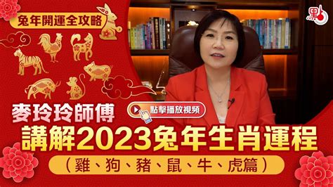 2023年屬虎|麥玲玲2023年生肖虎運程預測 水木相生穩定發展